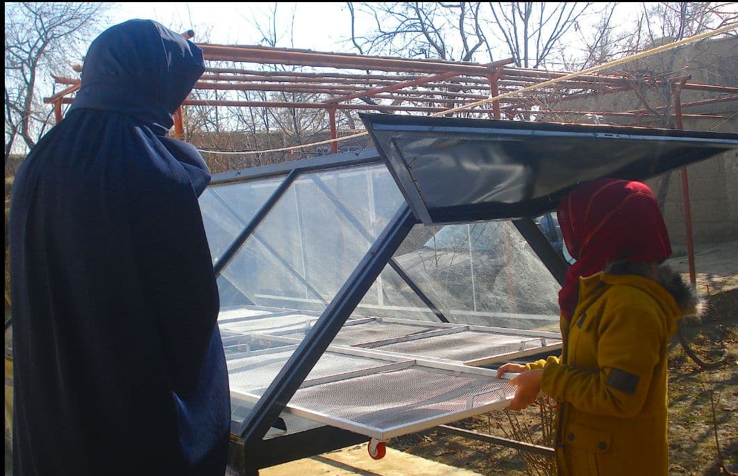 Aisha's solar food dryer innovation