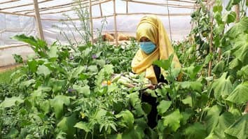 Youth working in community greenhouse