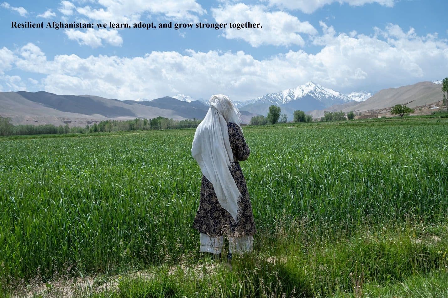 Resilient Afghanistan landscape